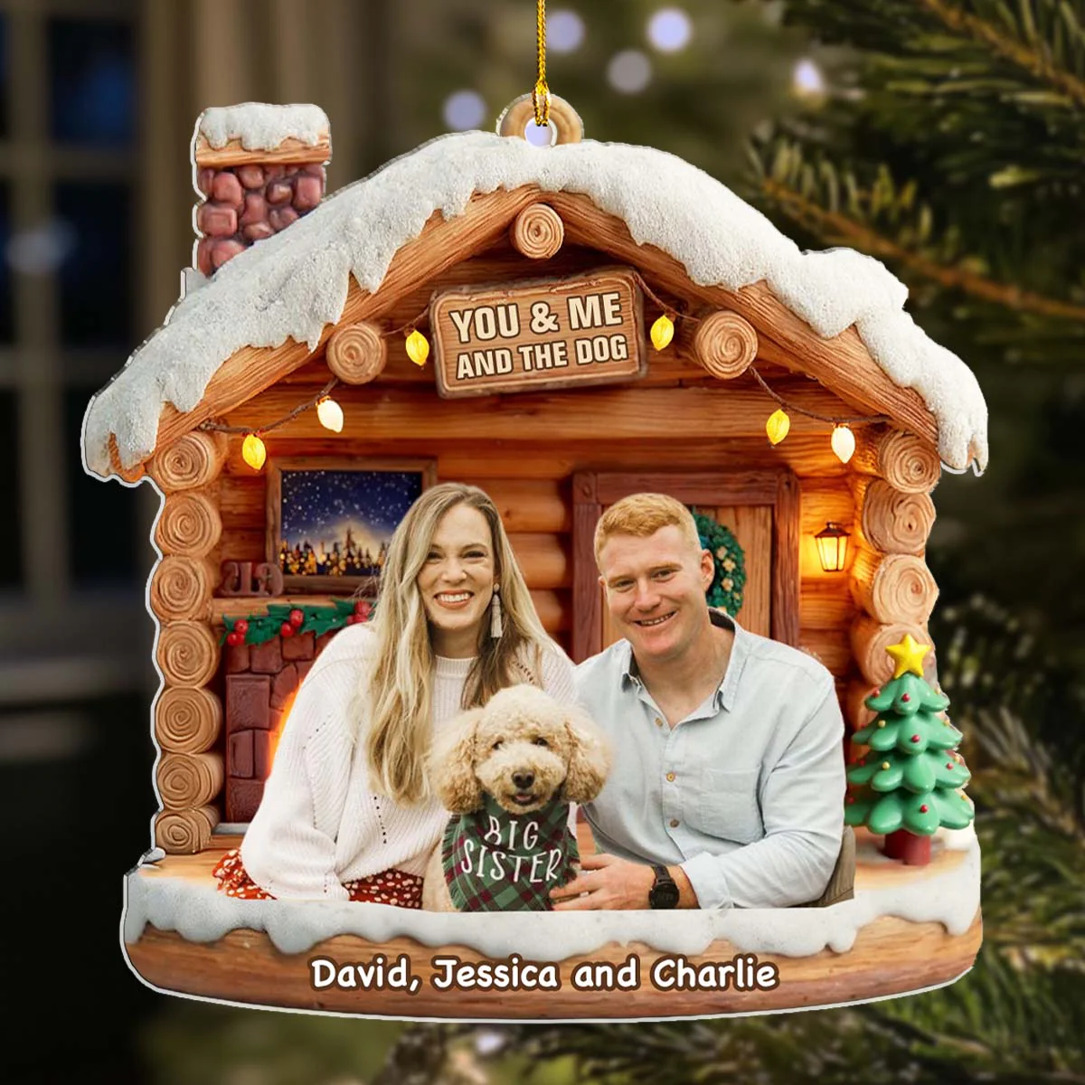 Have A Chat With Dogs Photo - Personalized Custom 3D Effect Acrylic Ornament