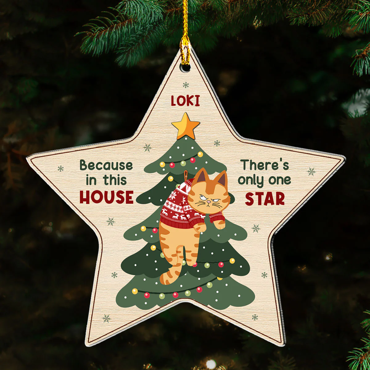 There's Only One Star In This House - Personalized Custom Acrylic Ornament