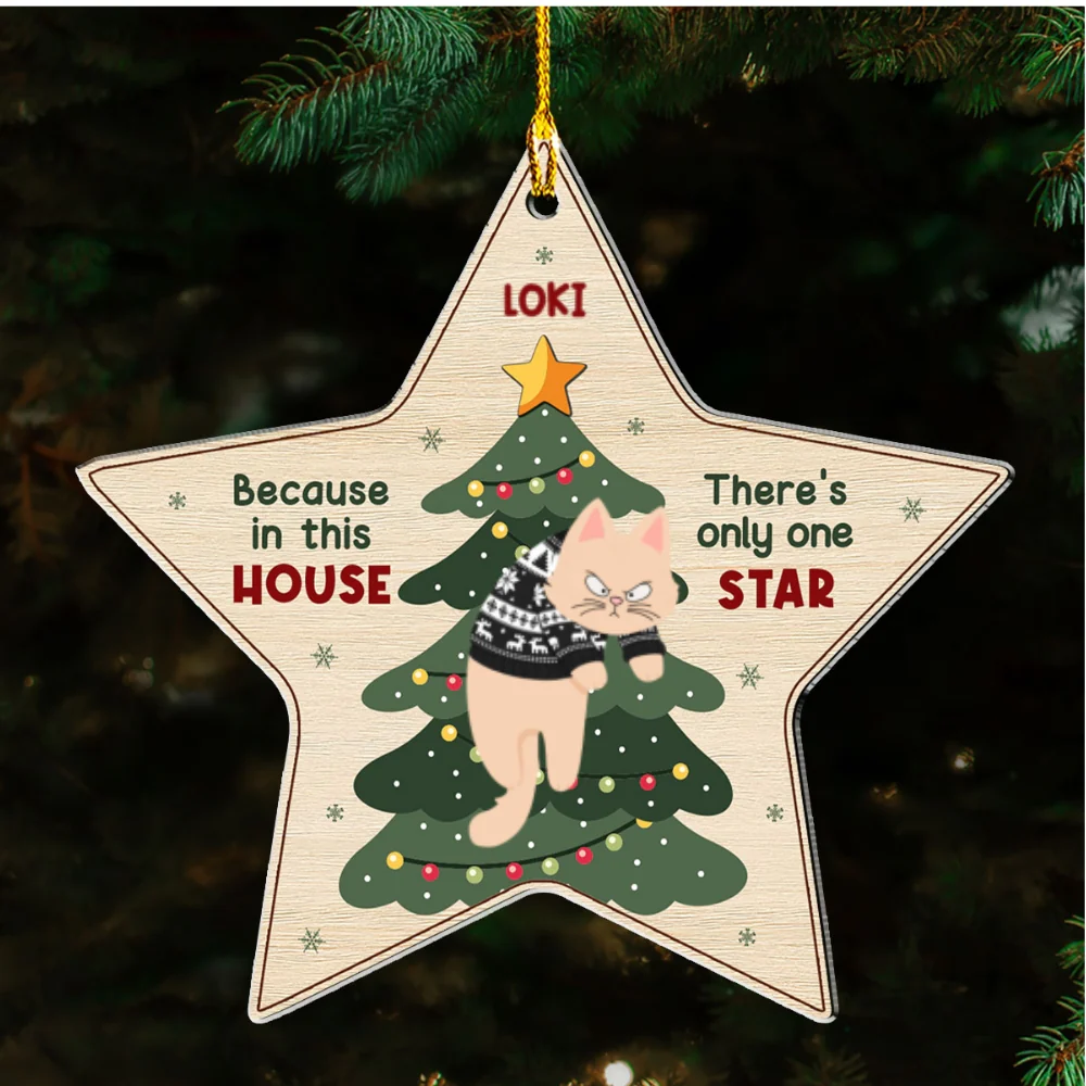 There's Only One Star In This House - Personalized Custom Acrylic Ornament - Image 5